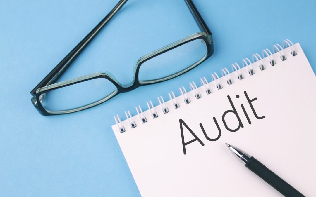 Audit-Ready: A Friendly Reminder for Physios to Showcase Their Professional Journey